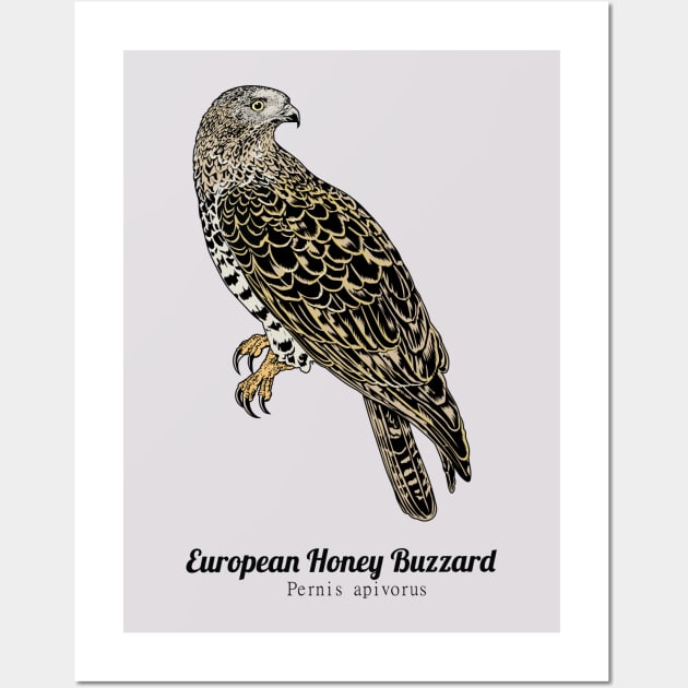 European honey buzzard Wall Art by Frajtgorski